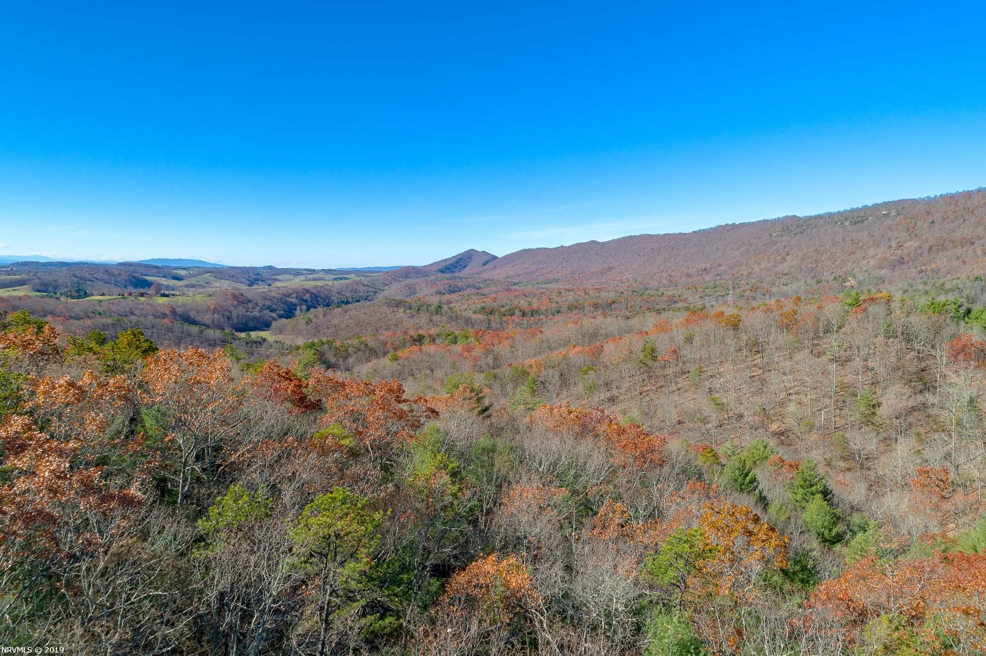 Tbd Mudlick Road Wytheville, VA 24382 - Photo 6 of 44 Gallery Image 6