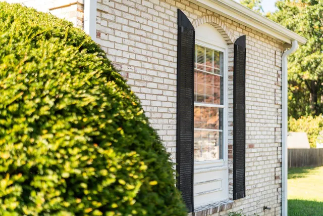 a view of a garden from a corridor