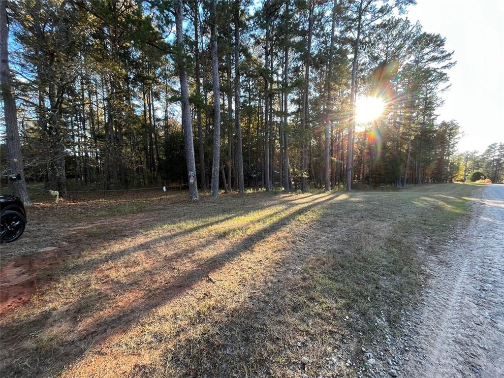 1220 Red Road Greensboro, GA 30642 - Photo 1 of 1 a backyard of a house with lots of green space
