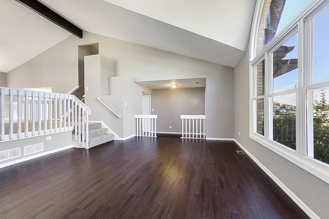 123 Churn Road Matteson, IL 60443 - Photo 4 of 19