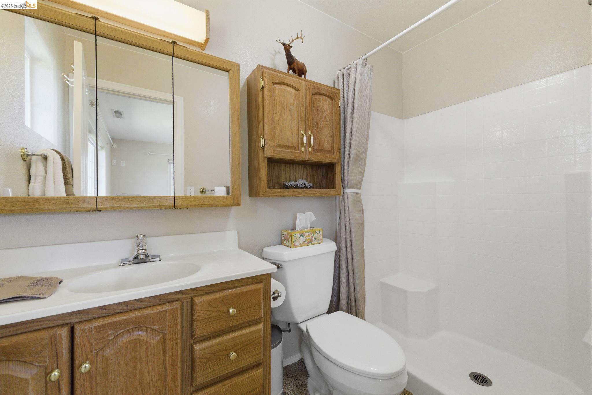 5356 Dogtown Road Coulterville, CA 95311 - Photo 49 of 60 a bathroom with a sink a toilet and shower
