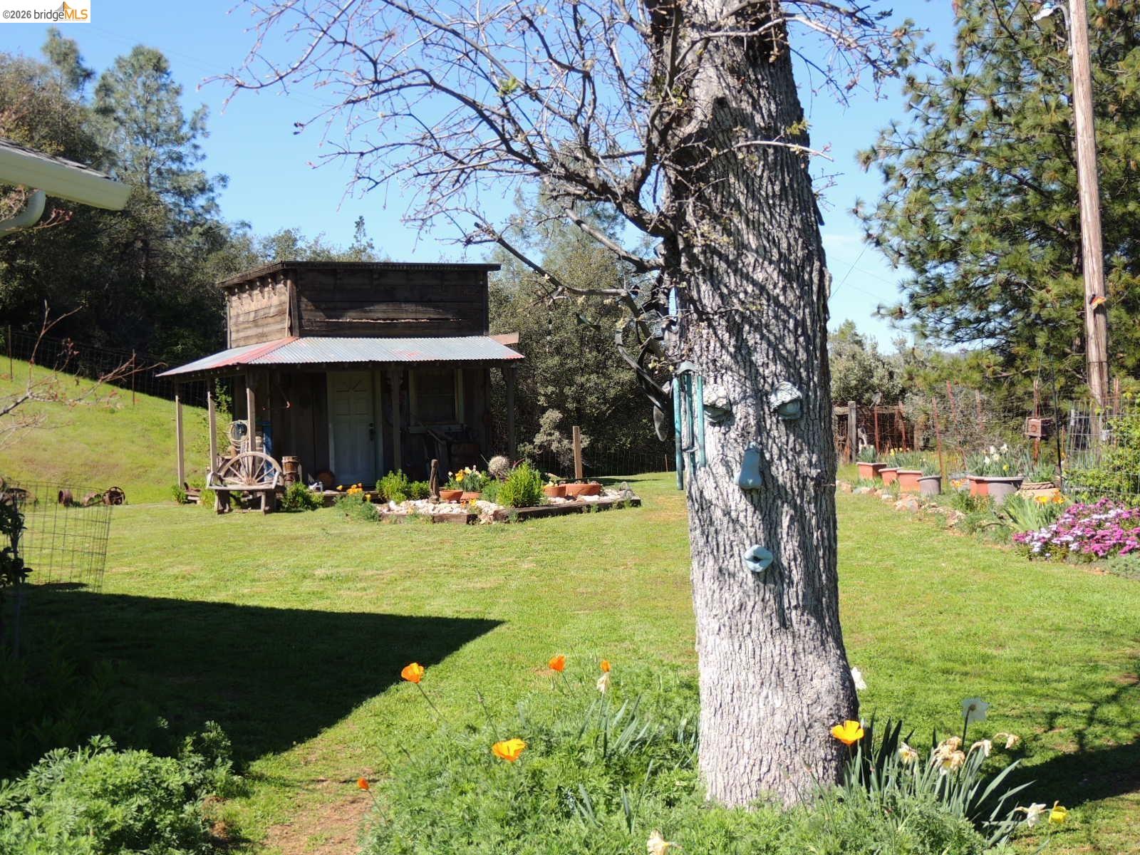 5356 Dogtown Road Coulterville, CA 95311 - Photo 53 of 60 a front view of a house with garden