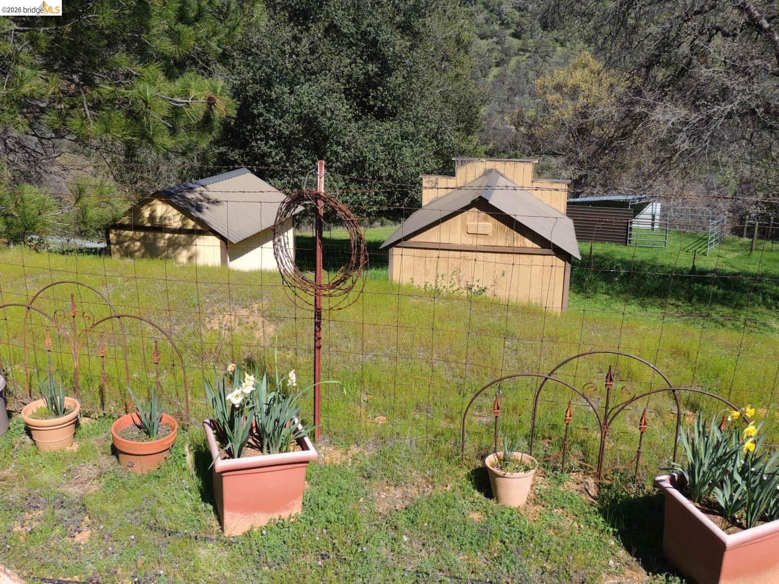 5356 Dogtown Road Coulterville, CA 95311 - Photo 56 of 60 a view of a house with outdoor space