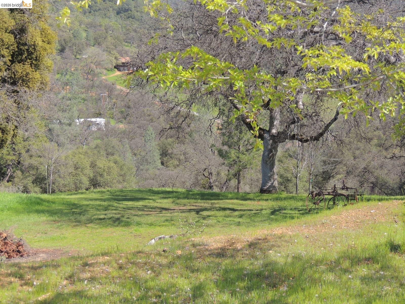 5356 Dogtown Road Coulterville, CA 95311 - Photo 6 of 60