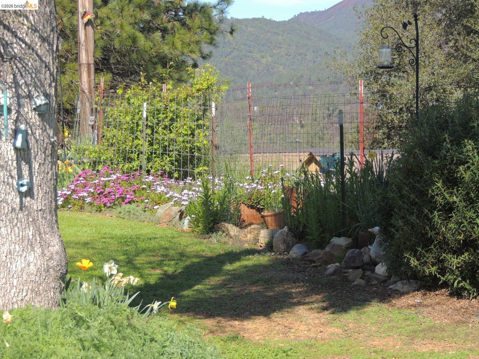 5356 Dogtown Road Coulterville, CA 95311 - Photo 8 of 60