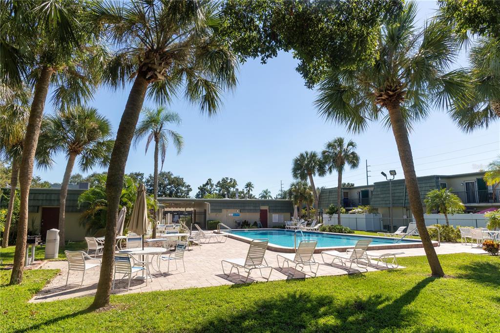 1799 North Highland Avenue, Unit 126 Clearwater, FL 33755 - Photo 19 of 20 a view of a swimming pool with a table and chairs