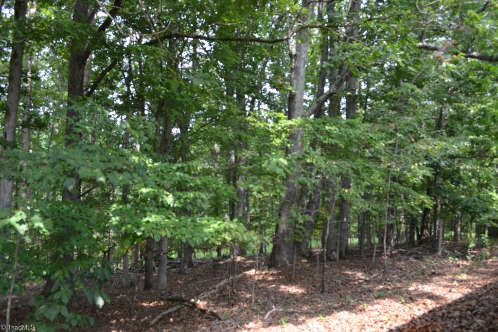 275 Kallam Mill Road Madison, NC 27025 - Photo 1 of 16