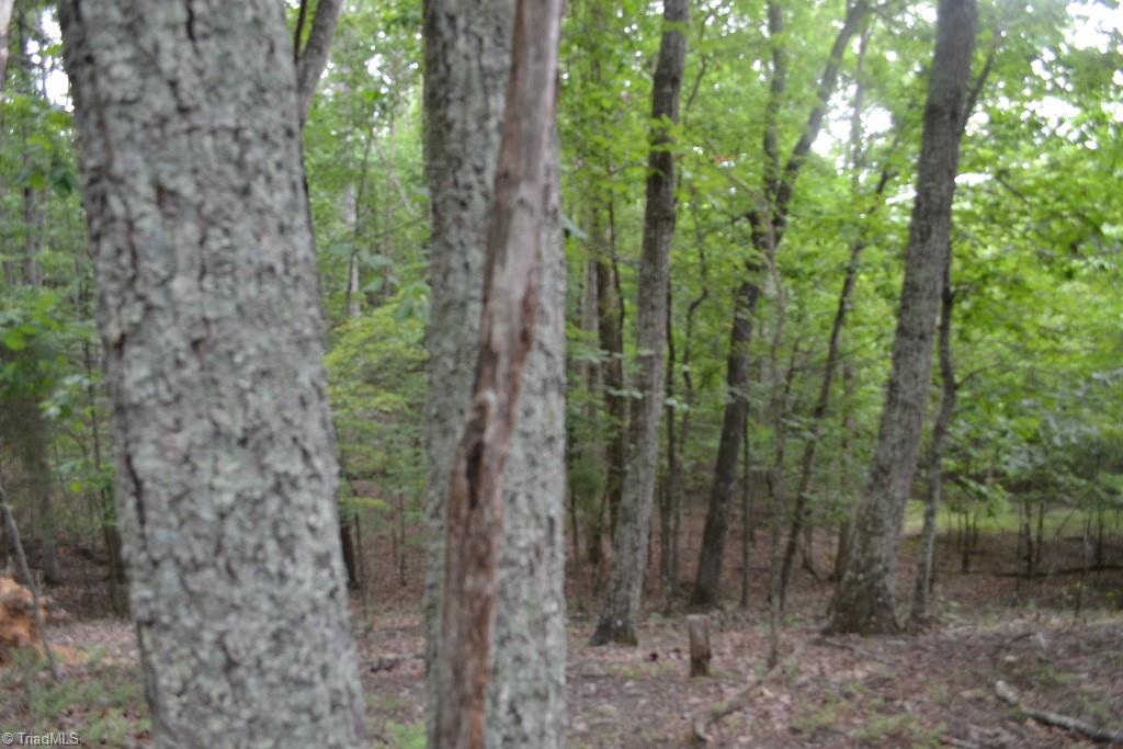275 Kallam Mill Road Madison, NC 27025 - Photo 11 of 16