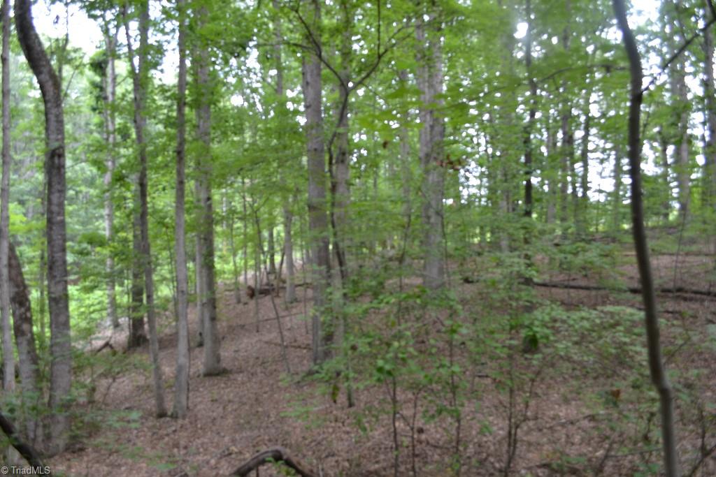 275 Kallam Mill Road Madison, NC 27025 - Photo 12 of 16