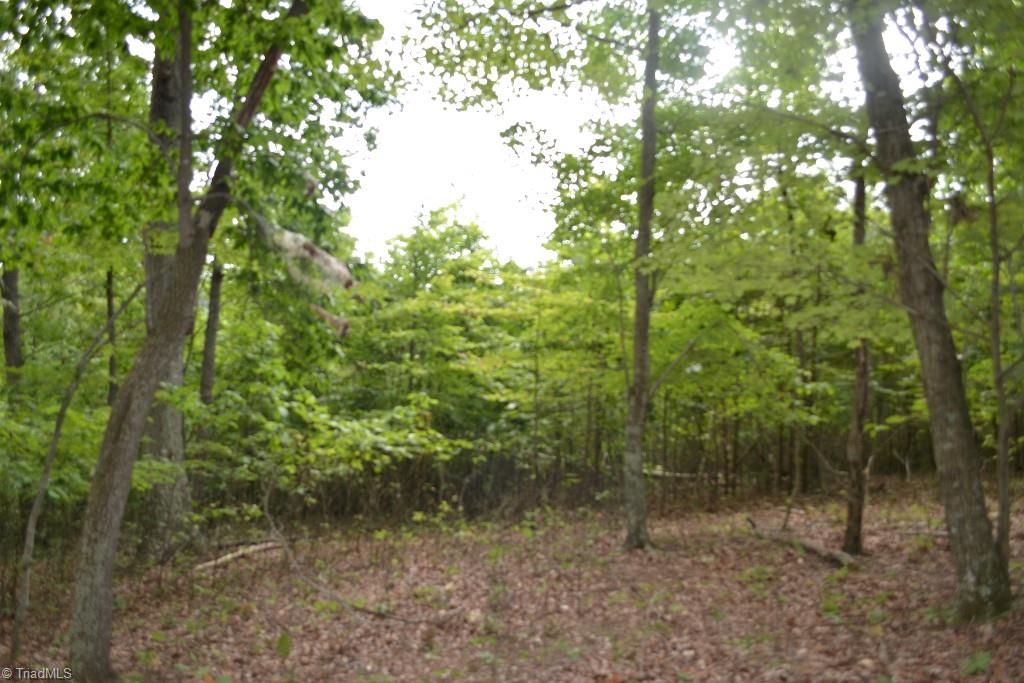 275 Kallam Mill Road Madison, NC 27025 - Photo 5 of 16