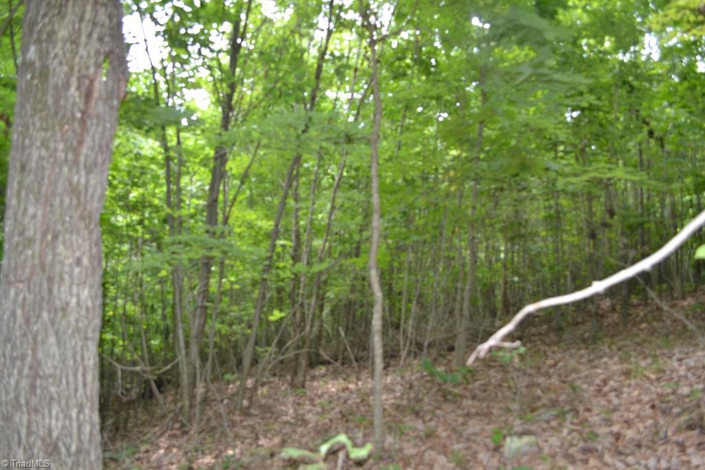 275 Kallam Mill Road Madison, NC 27025 - Photo 6 of 16