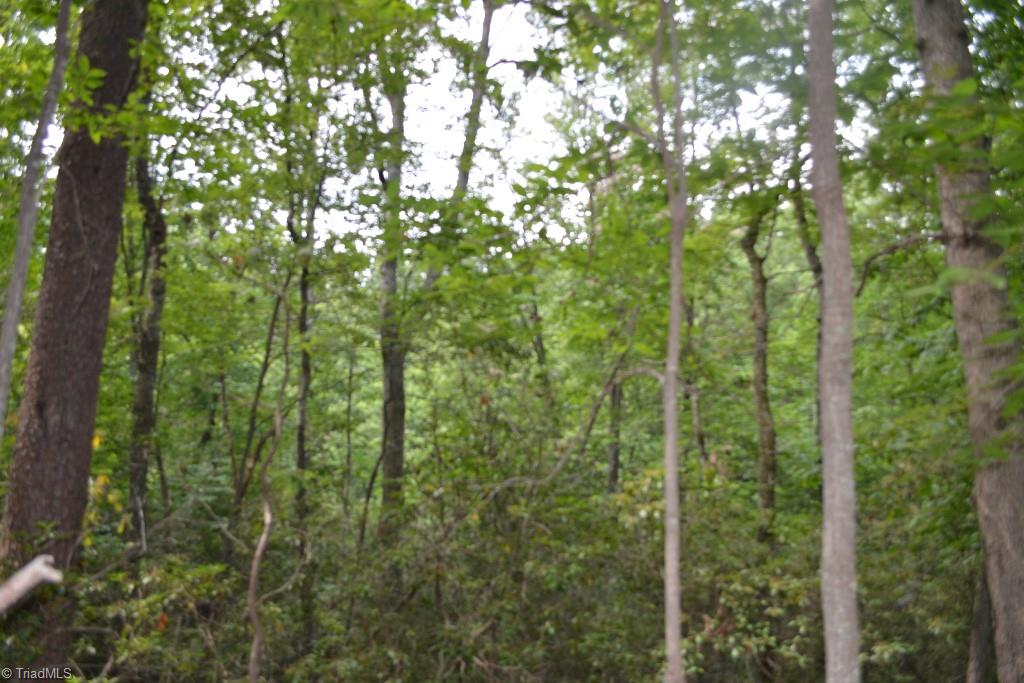 275 Kallam Mill Road Madison, NC 27025 - Photo 7 of 16