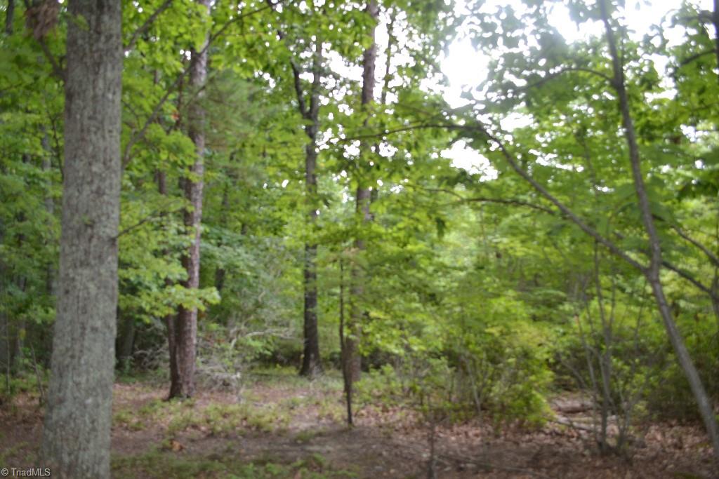 275 Kallam Mill Road Madison, NC 27025 - Photo 8 of 16