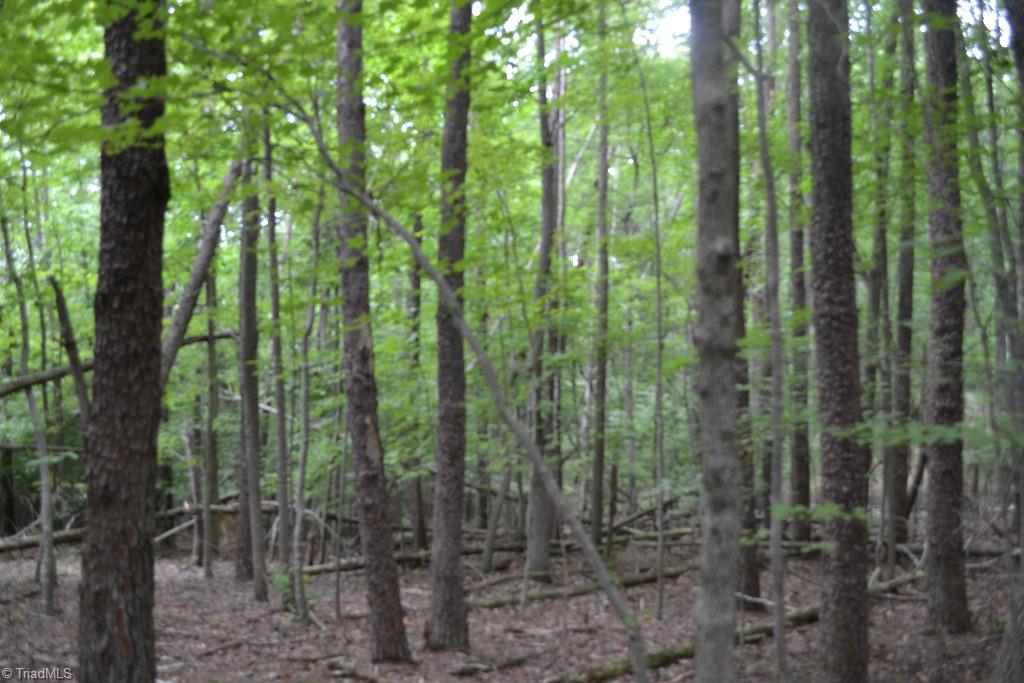 275 Kallam Mill Road Madison, NC 27025 - Photo 9 of 16