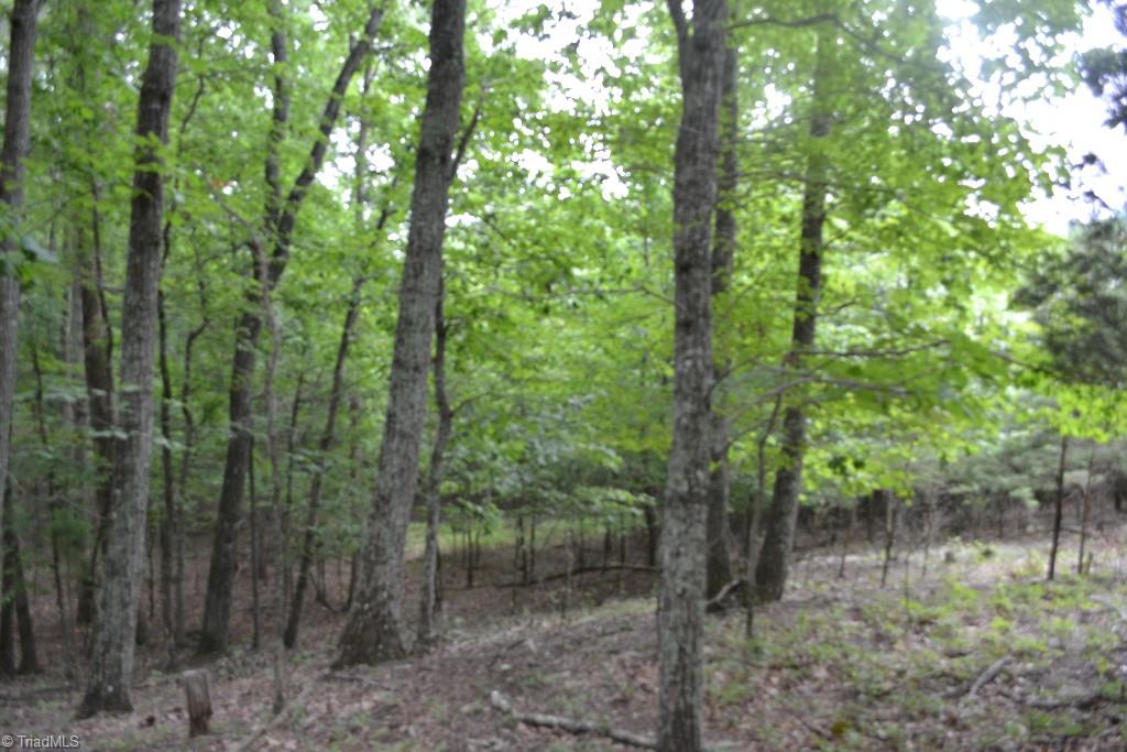 275 Kallam Mill Road Madison, NC 27025 - Photo 10 of 16