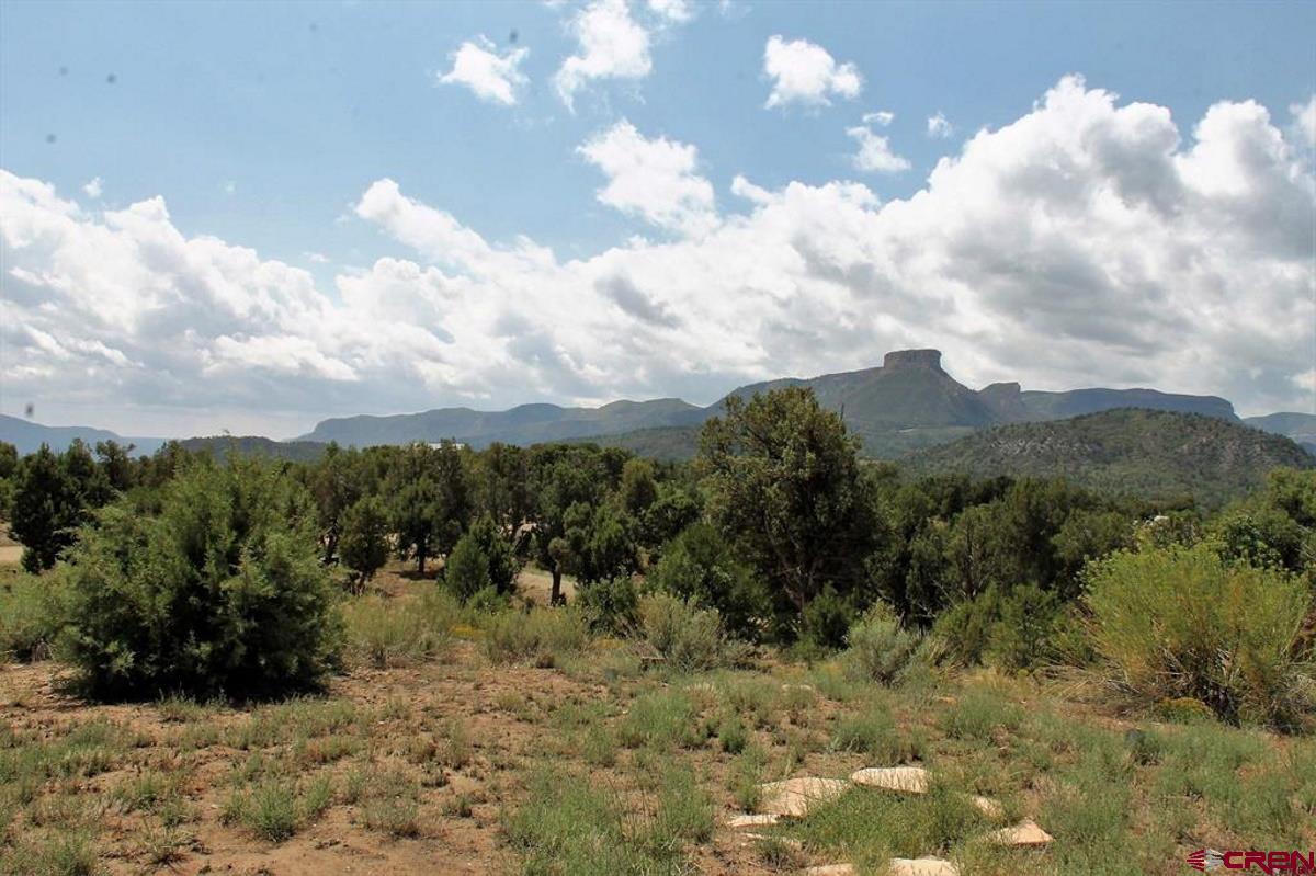 9571 Road 35 Mancos, CO 81328 - Photo 24 of 32