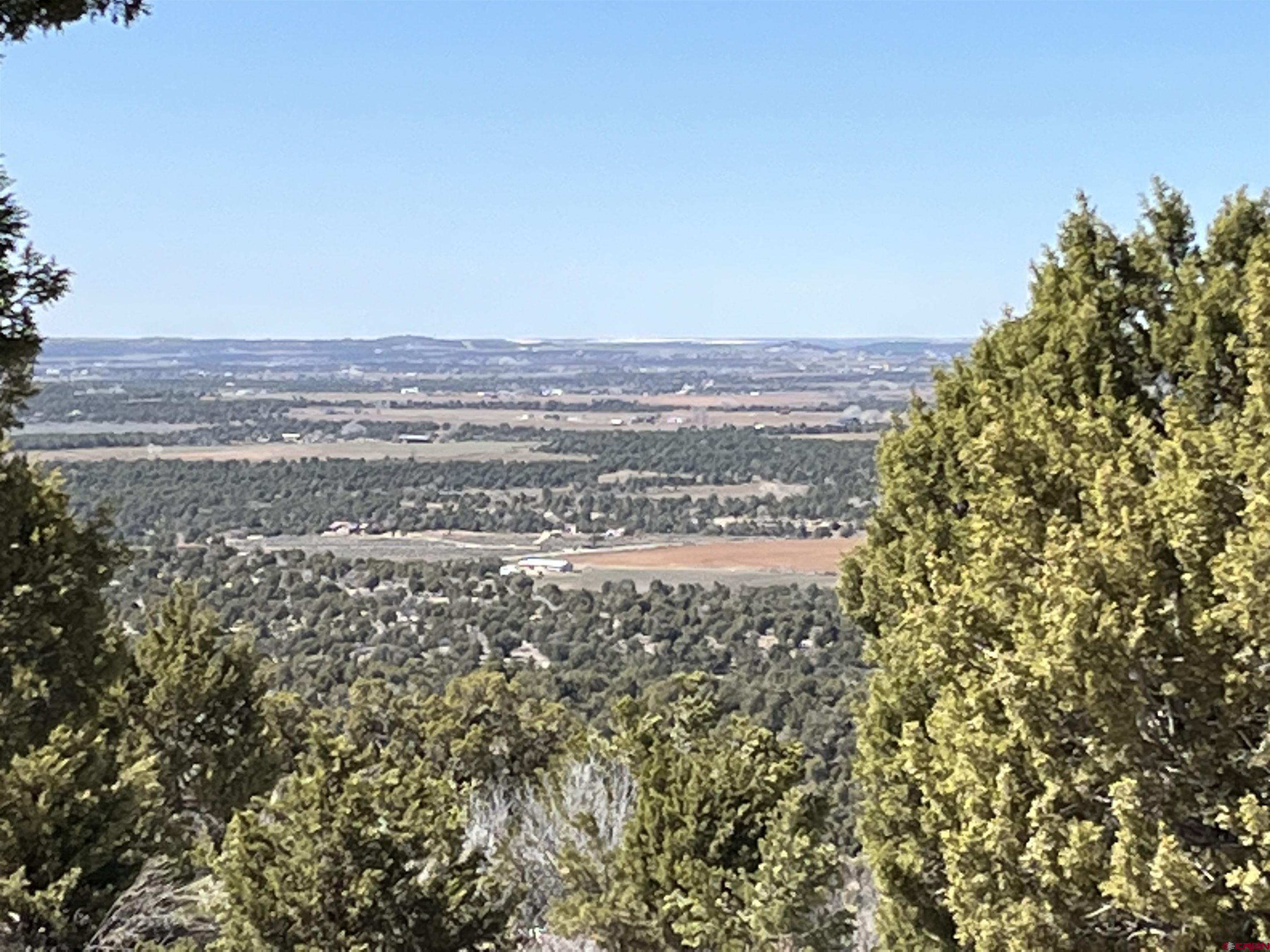 9571 Road 35 Mancos, CO 81328 - Photo 25 of 32