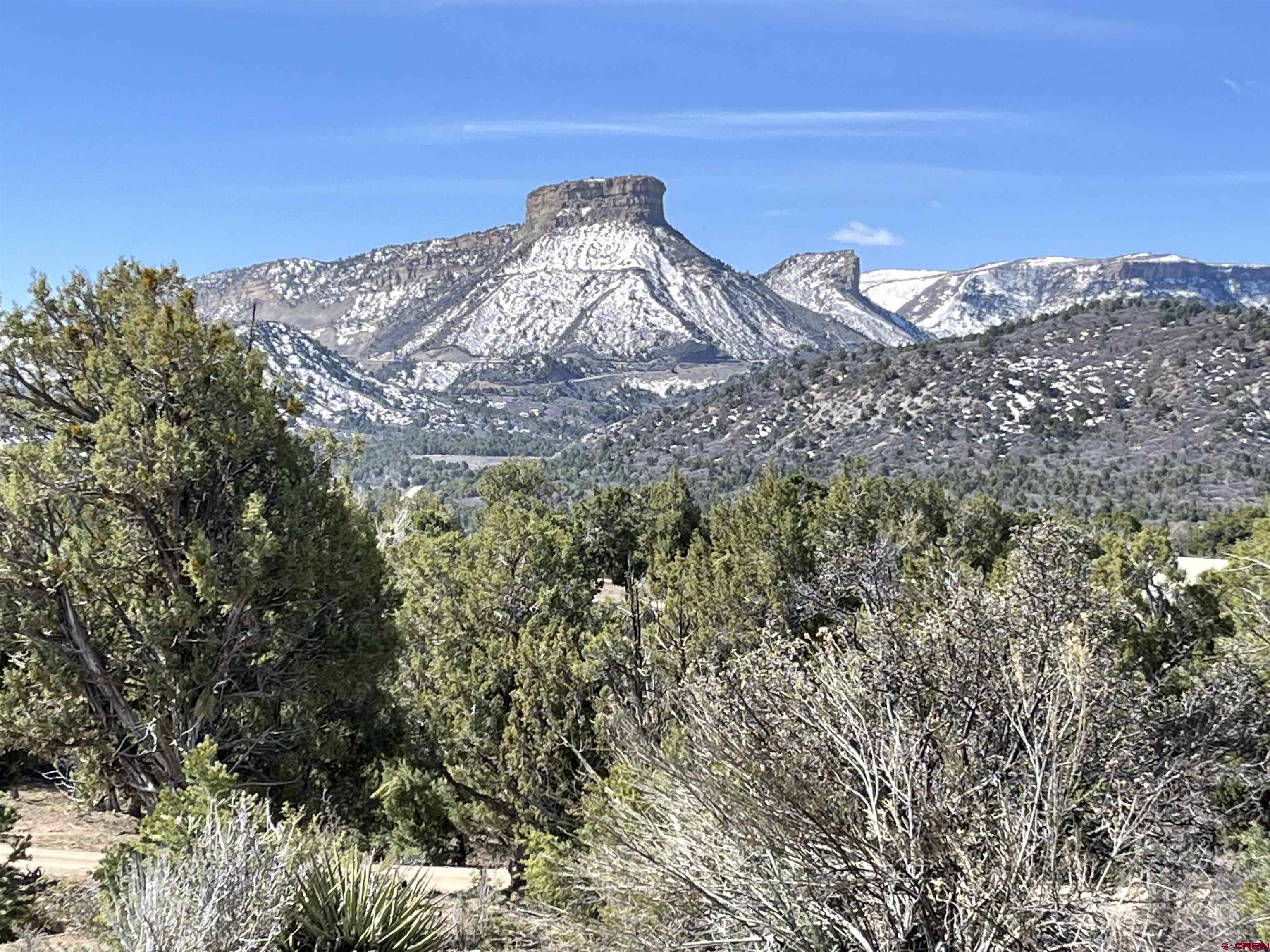 9571 Road 35 Mancos, CO 81328 - Photo 29 of 32