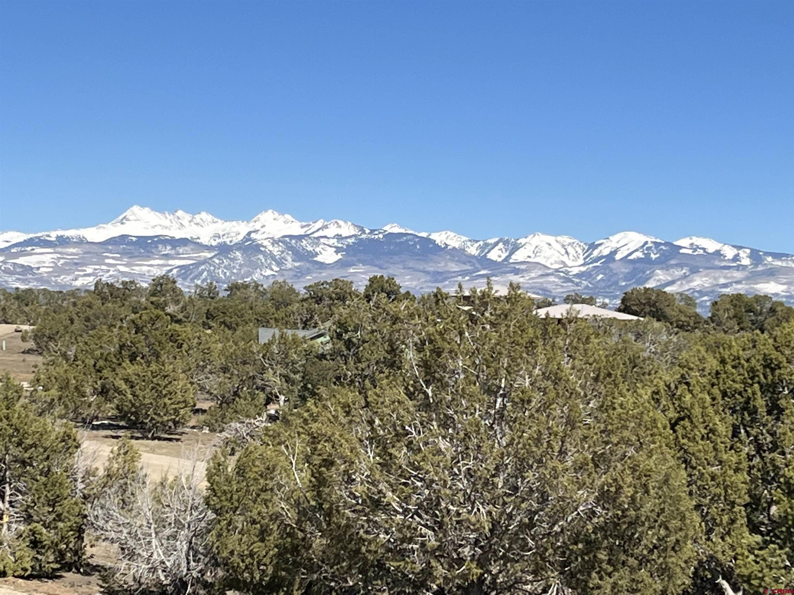 9571 Road 35 Mancos, CO 81328 - Photo 5 of 32