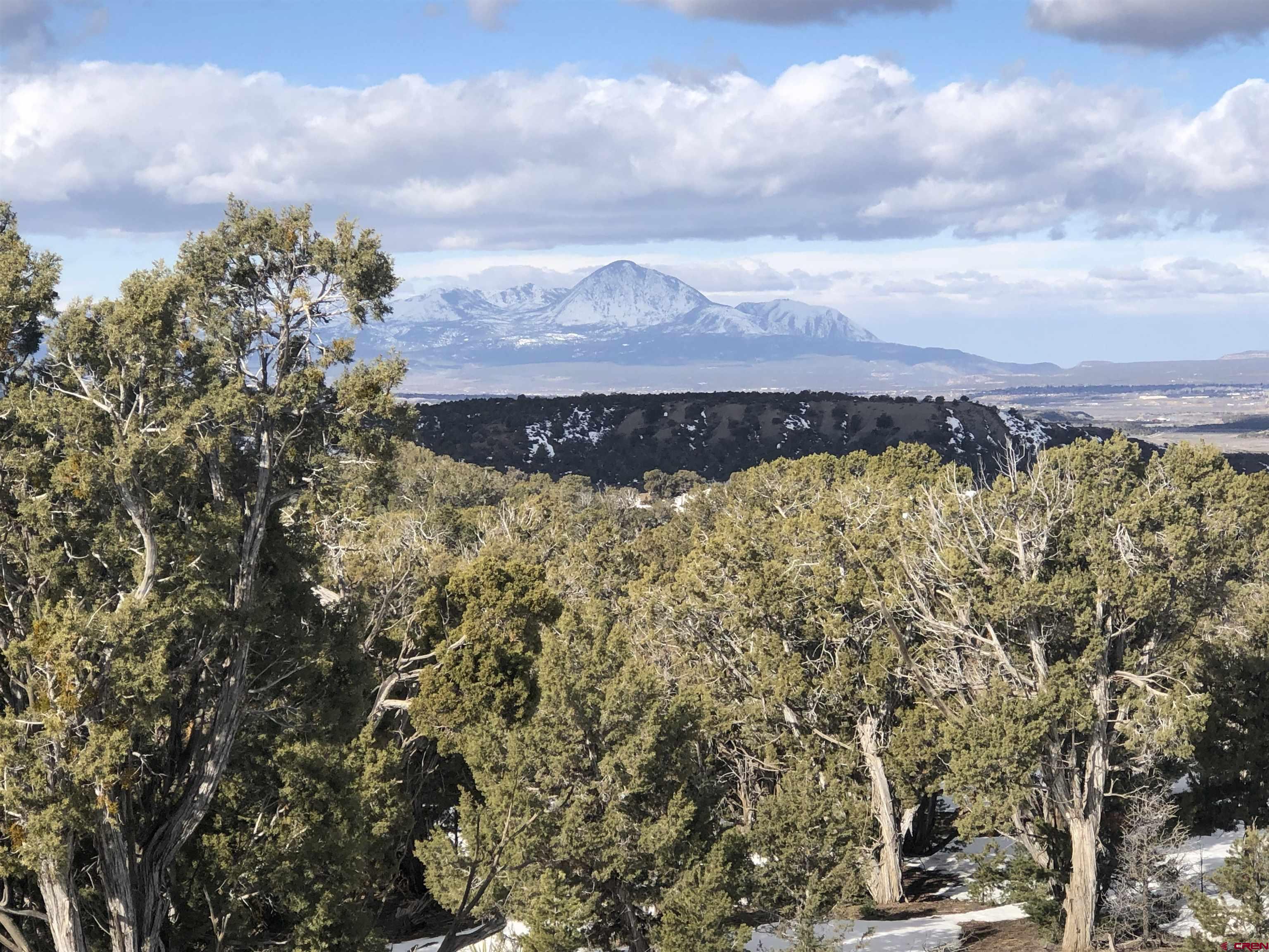 9571 Road 35 Mancos, CO 81328 - Photo 7 of 32