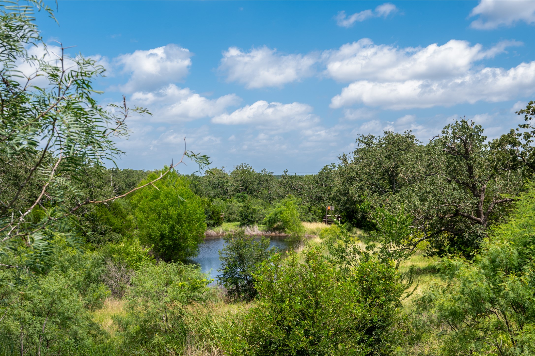 270 Dry Creek Road Manor, TX 78653 - Photo 37 of 40 A tranquil pond nestles amidst lush trees and verdant landscape under a bright blue sky.
