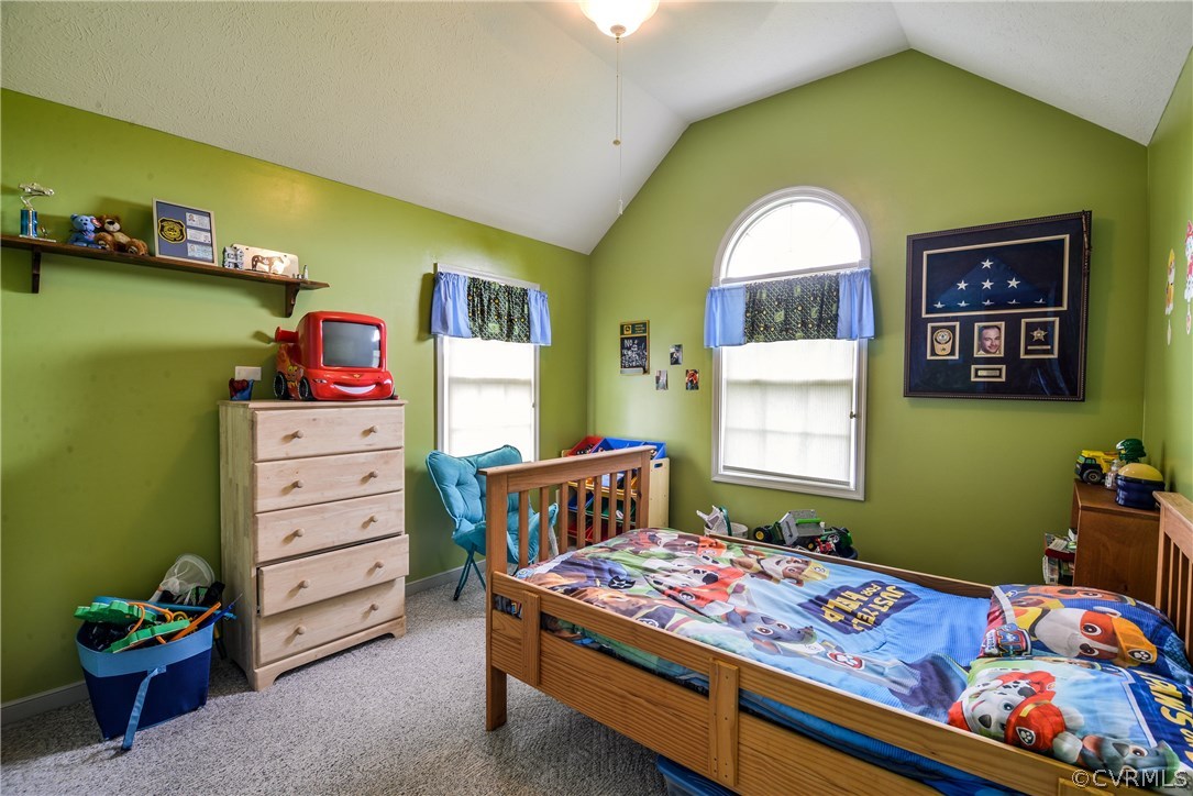 6910 Laurel Spring Road Prince George, VA 23875 - Photo 19 of 34 Gallery Image 19