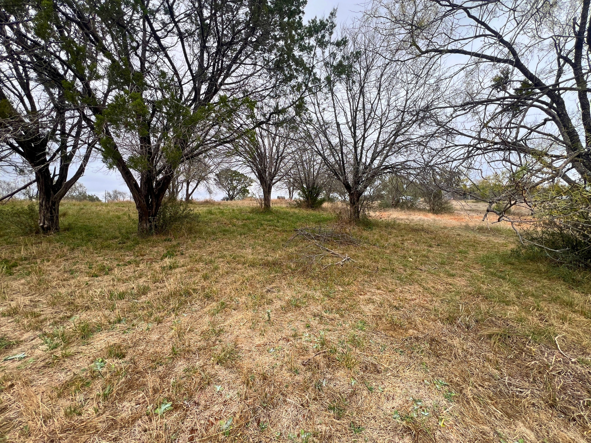 Tbd Apache Tears Horseshoe Bay, TX 78657 - Photo 14 of 21 a view of yard with trees