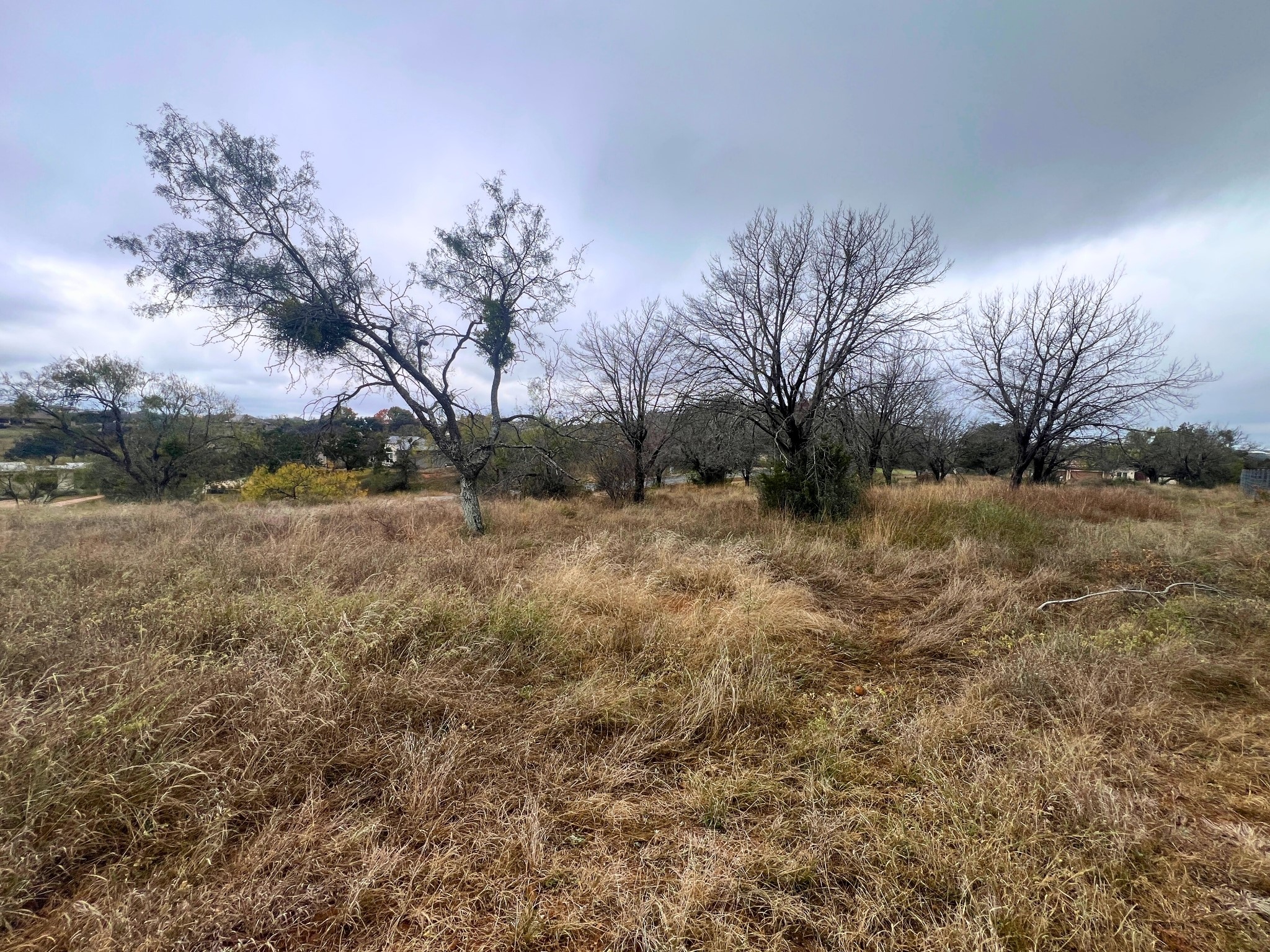 Tbd Apache Tears Horseshoe Bay, TX 78657 - Photo 20 of 21 a view of yard covered with green space