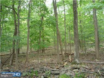 7187 Ferry Road New Hope, PA 18938 - Photo 1 of 3 Gallery Image 1