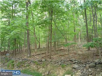 7187 Ferry Road New Hope, PA 18938 - Photo 2 of 3 Gallery Image 2