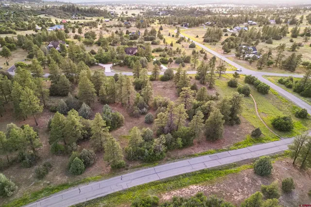 $249,000 | 256 Heath Drive, Pagosa Springs, CO 81147