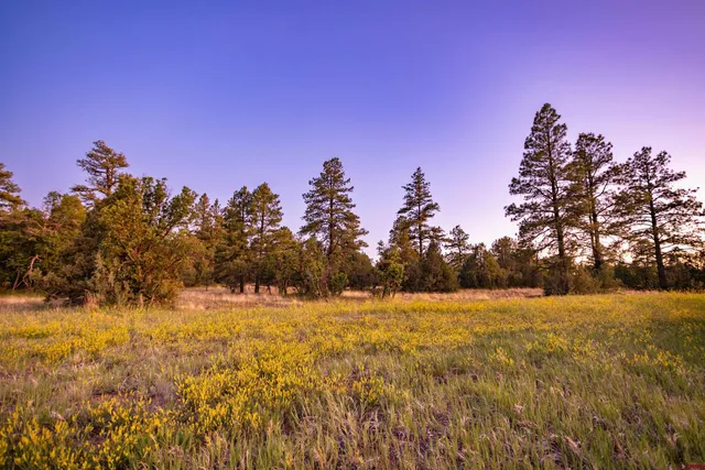 $249,000 | 256 Heath Drive, Pagosa Springs, CO 81147