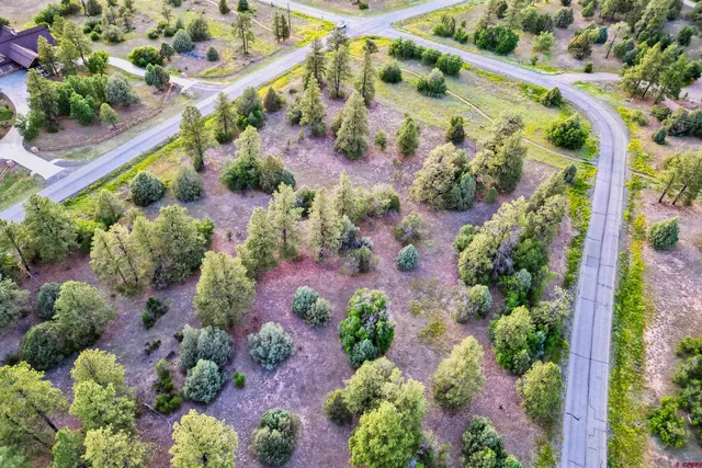 $249,000 | 256 Heath Drive, Pagosa Springs, CO 81147