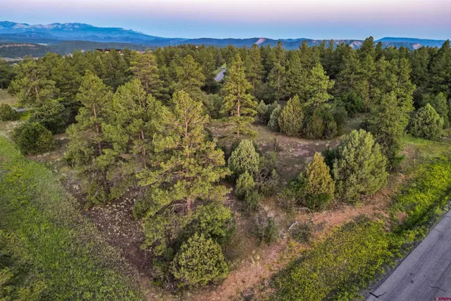 $249,000 | 256 Heath Drive, Pagosa Springs, CO 81147