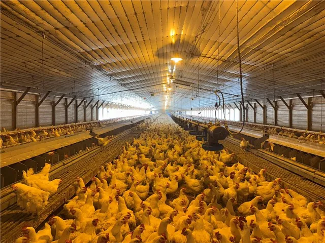 $1,220,000 | 179 Bethlehem Church Road Southeast, Calhoun, GA 30701