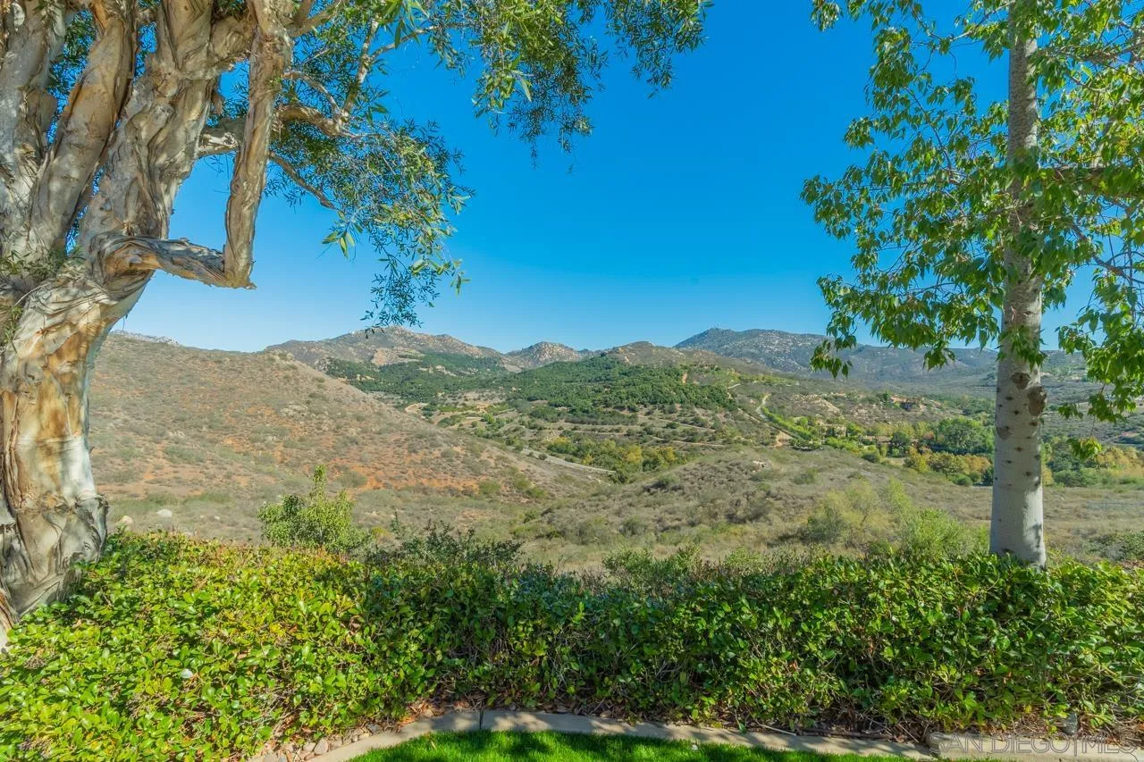 17065 Butterfield Trail Poway, CA 92064 - Photo 65 of 71 a view of a forest with a mountain in the background