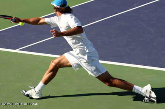 106 Carnforth Drive Bushkill, PA 18324 - Photo 60 of 73 outdoor-tennis-web-555x367