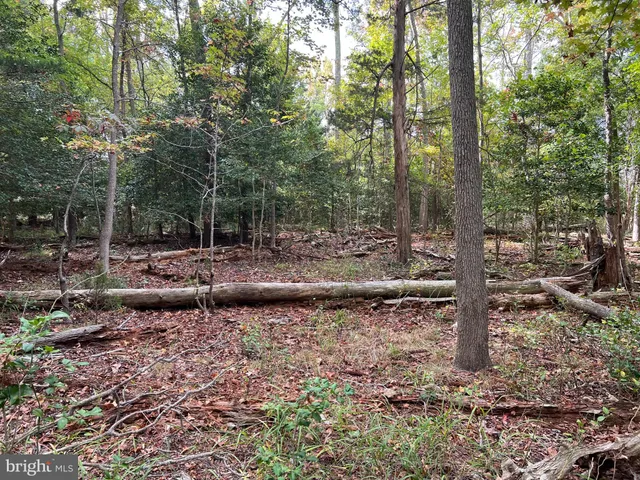 $200,000 | 162-164 Powell Road, Woodbine, NJ 08270