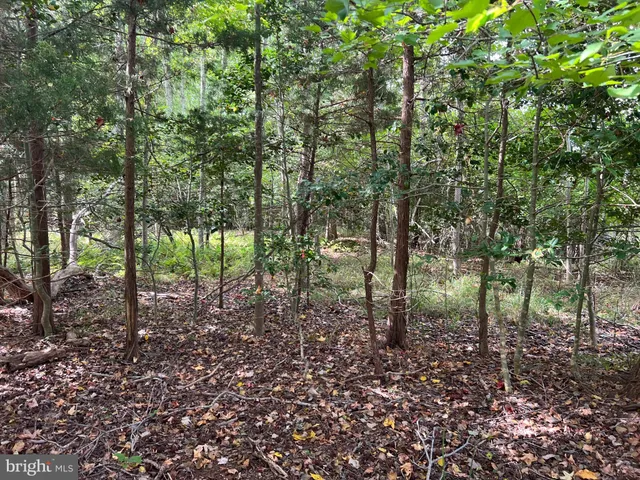 $200,000 | 162-164 Powell Road, Woodbine, NJ 08270