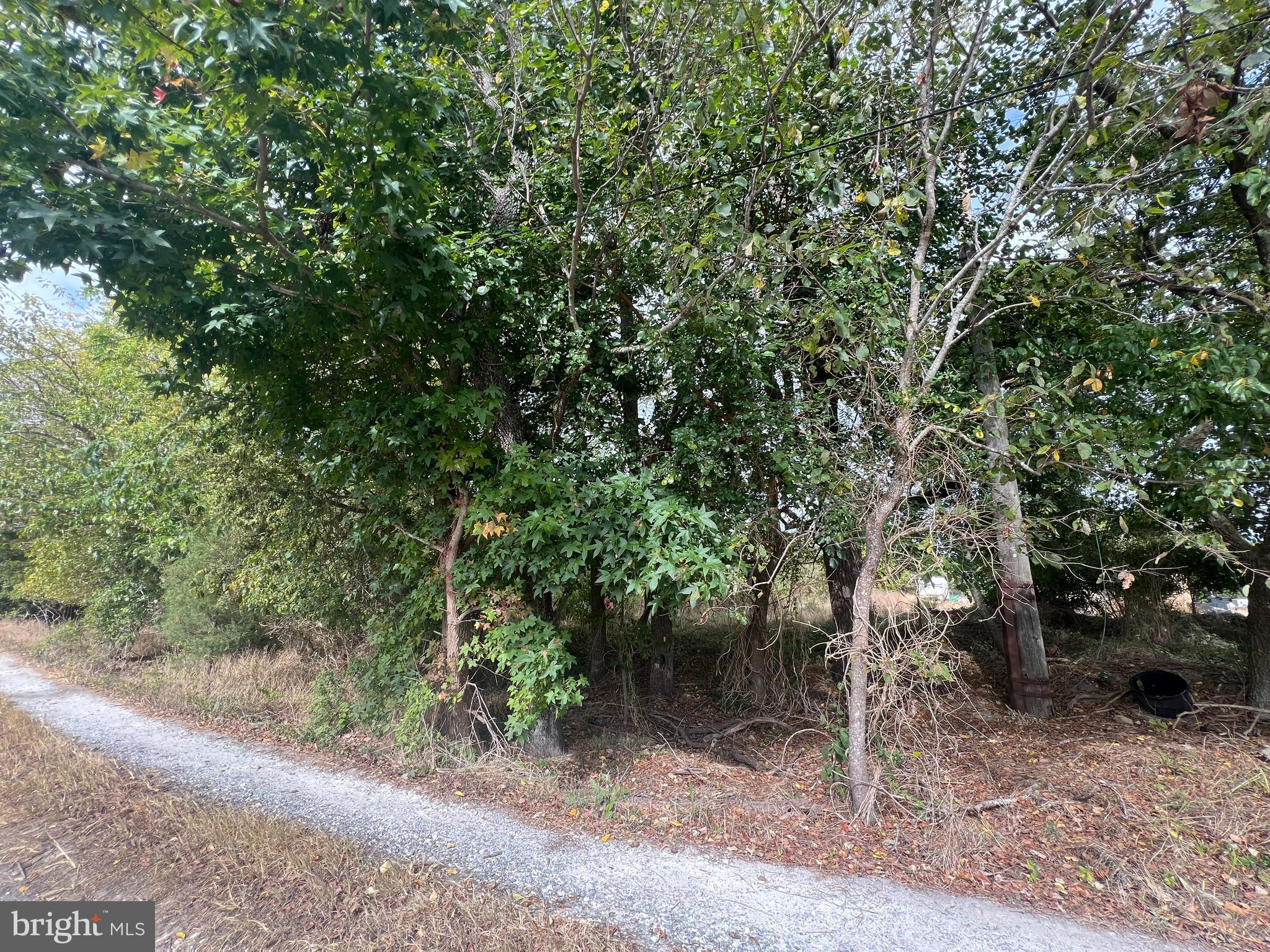 162-164 Powell Road Woodbine, NJ 08270 - Photo 2 of 13