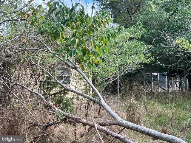 $200,000 | 162-164 Powell Road, Woodbine, NJ 08270