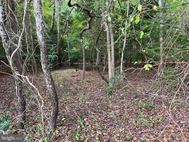 $200,000 | 162-164 Powell Road, Woodbine, NJ 08270