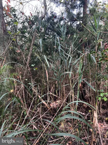 $200,000 | 162-164 Powell Road, Woodbine, NJ 08270