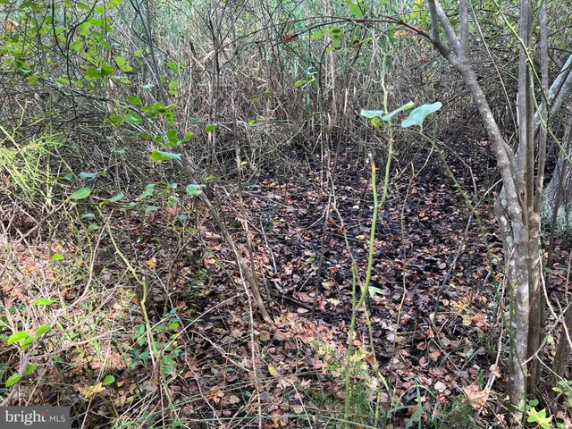 $200,000 | 162-164 Powell Road, Woodbine, NJ 08270