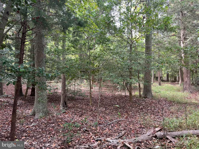 $200,000 | 162-164 Powell Road, Woodbine, NJ 08270