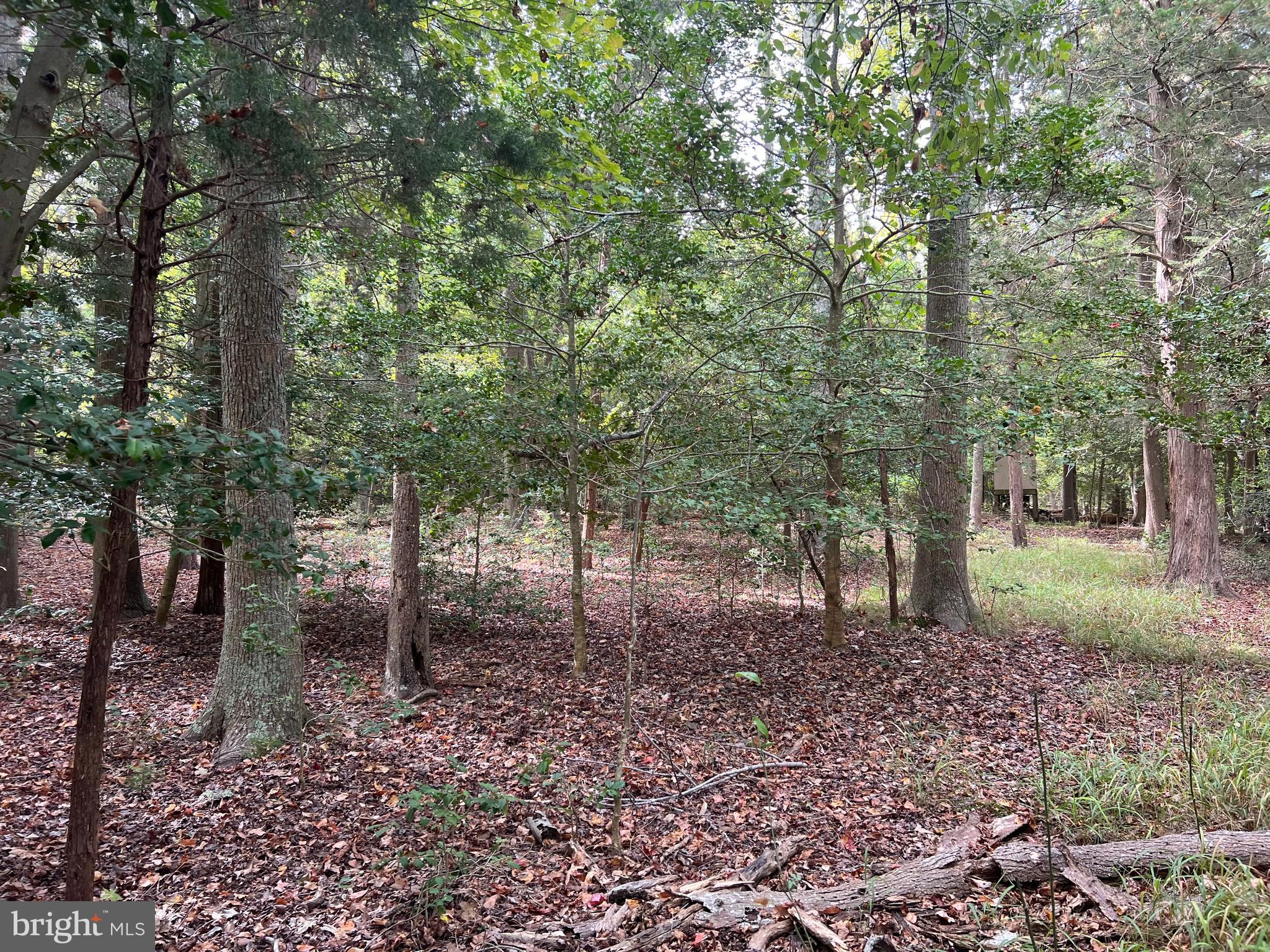 162-164 Powell Road Woodbine, NJ 08270 - Photo 8 of 13