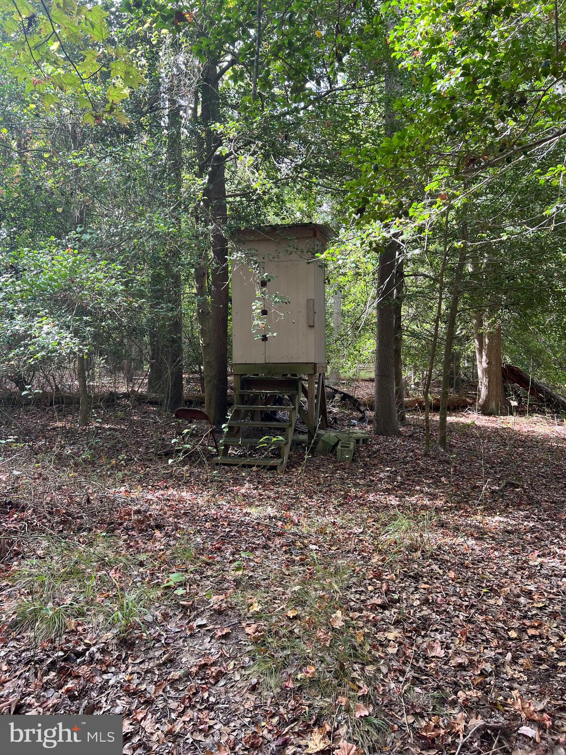 162-164 Powell Road Woodbine, NJ 08270 - Photo 9 of 13