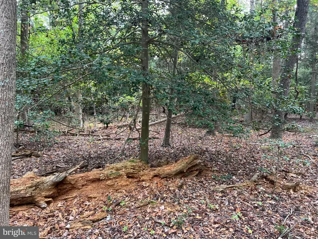 $200,000 | 162-164 Powell Road, Woodbine, NJ 08270