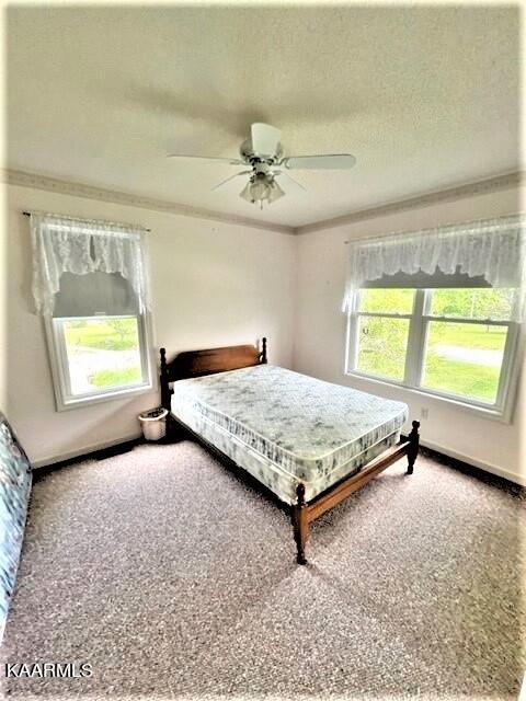 550 Meadows Road Sparta, TN 38583 - Photo 11 of 21 BdRm 2-1