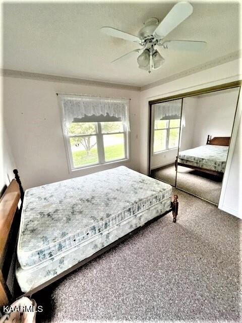 550 Meadows Road Sparta, TN 38583 - Photo 12 of 21 BdRm 2-2